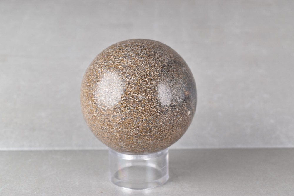 Dinosaur Bone Sphere from Morocco 7.6 cm # 20121