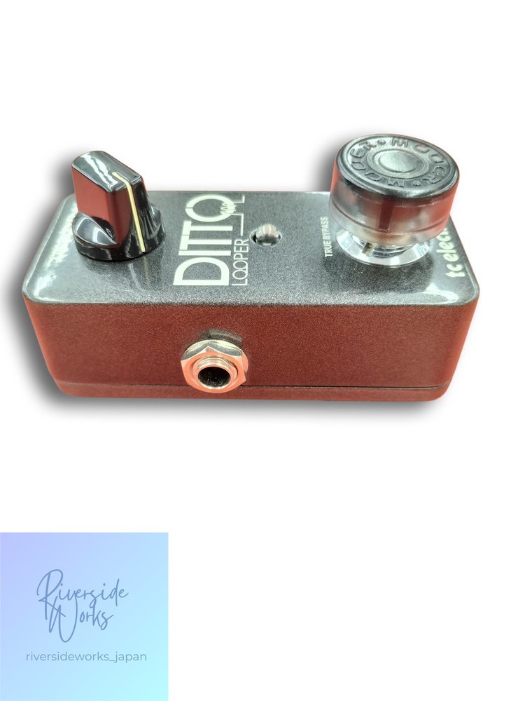TC Electronic Ditto Looper Effects Pedal Compact Looping JP
