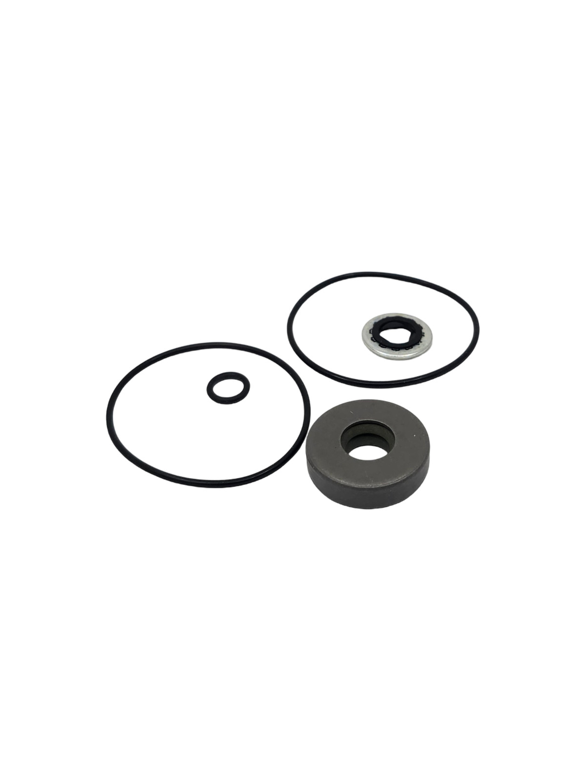 Ace Pumps Repair Kit for 200 Series Motors - RK-BAC-75-HYD-L (41374)