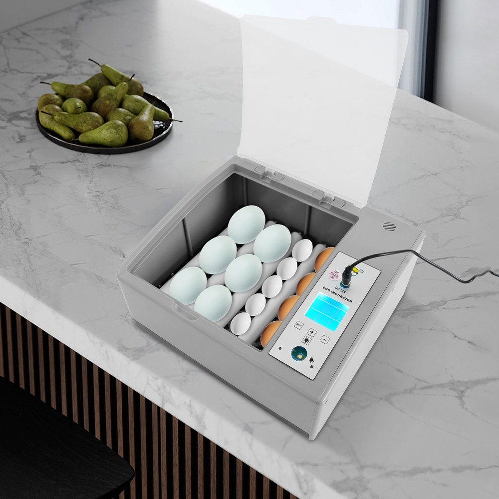 16-egg Incubating Machine Tabletop Egg Incubator Household W/temperature Control