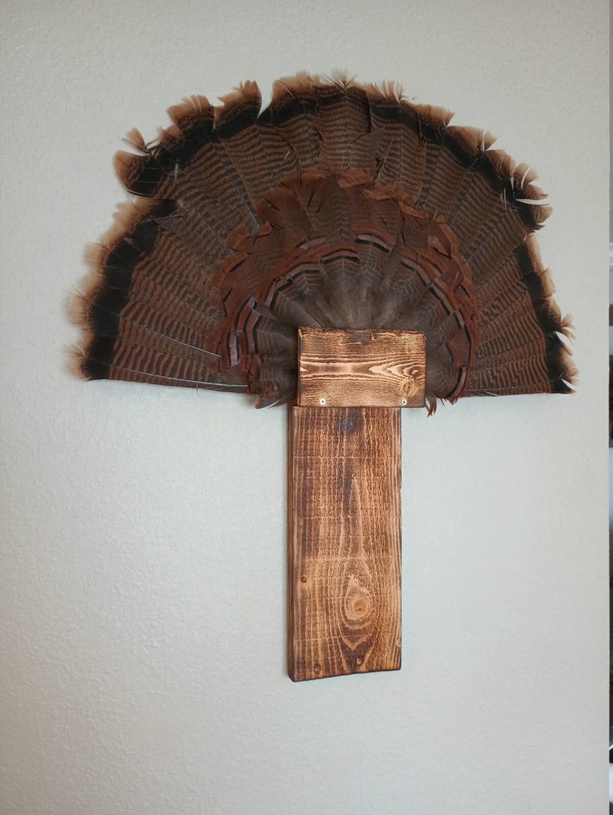 Rustic Turkey Fan Mount