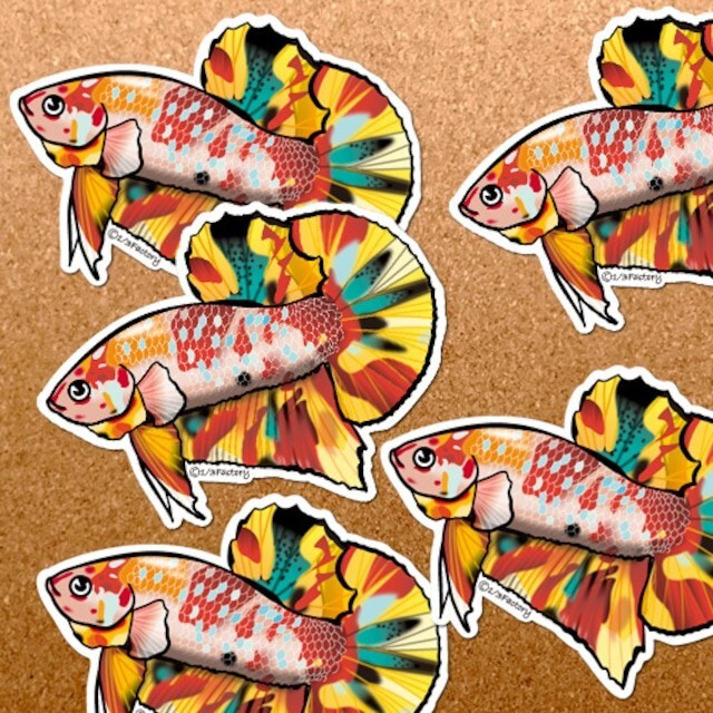 plakat betta stiker