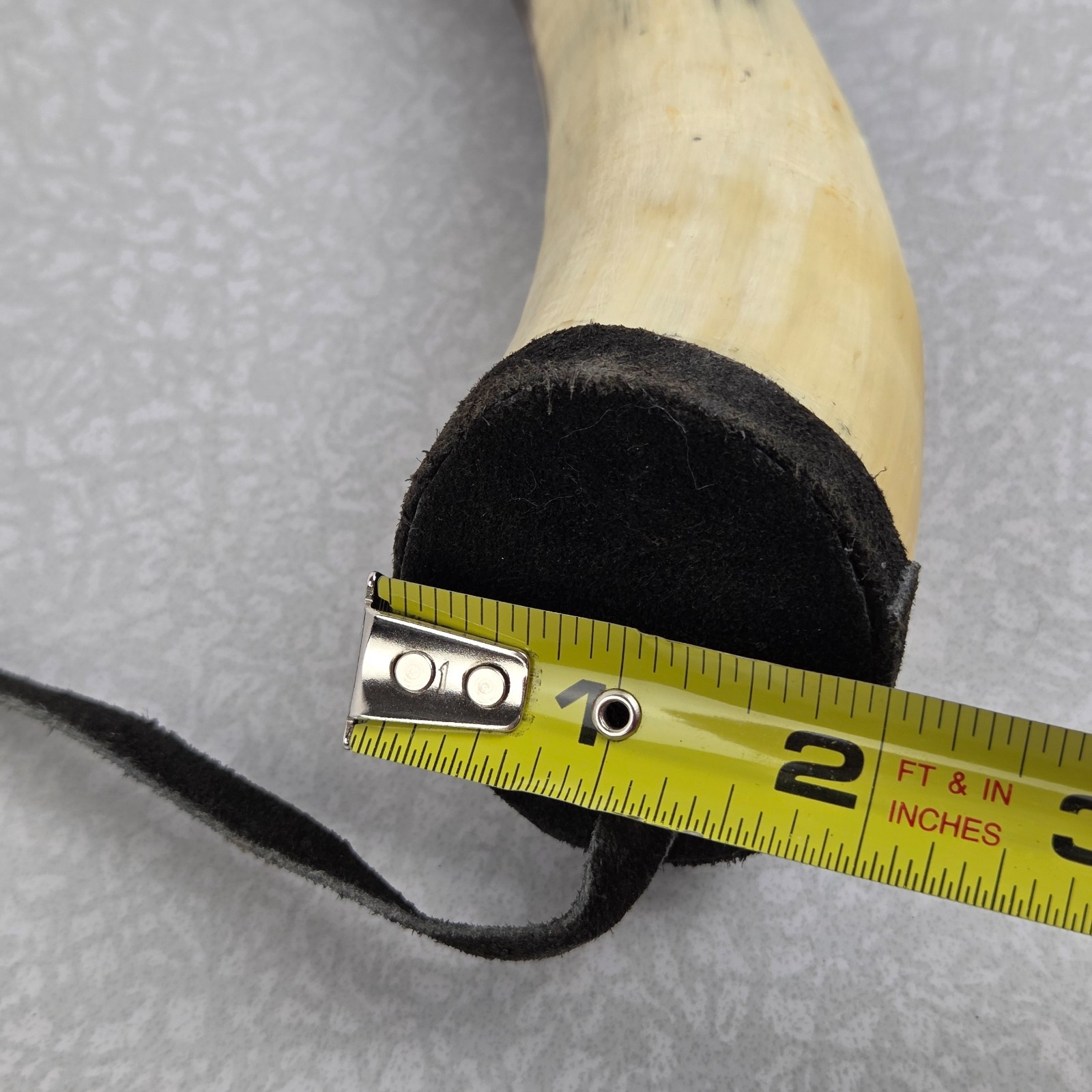 Powder Horn Natural Animal Horn Rustic Hunting Decor Prop Decorative 8"