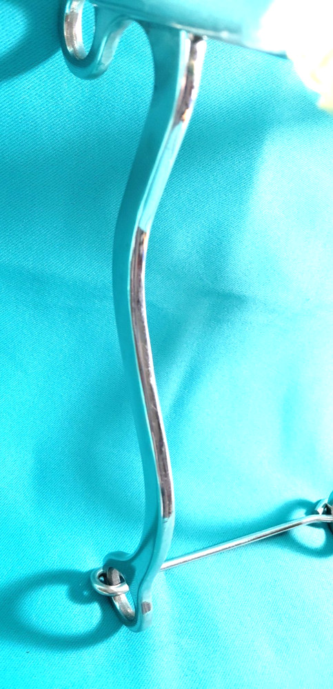 HORSE MECHANICAL HACKAMORE STAINLESS BRAIDED RAWHIDE PARTRADE