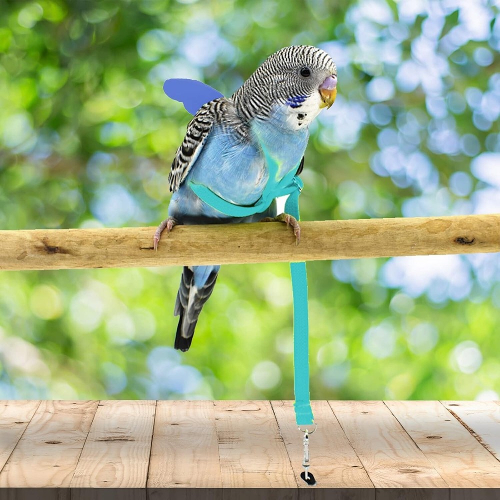 Light Blue Adjustable Bird Harness & Leash for Medium Parrots - Anti-Bite Design