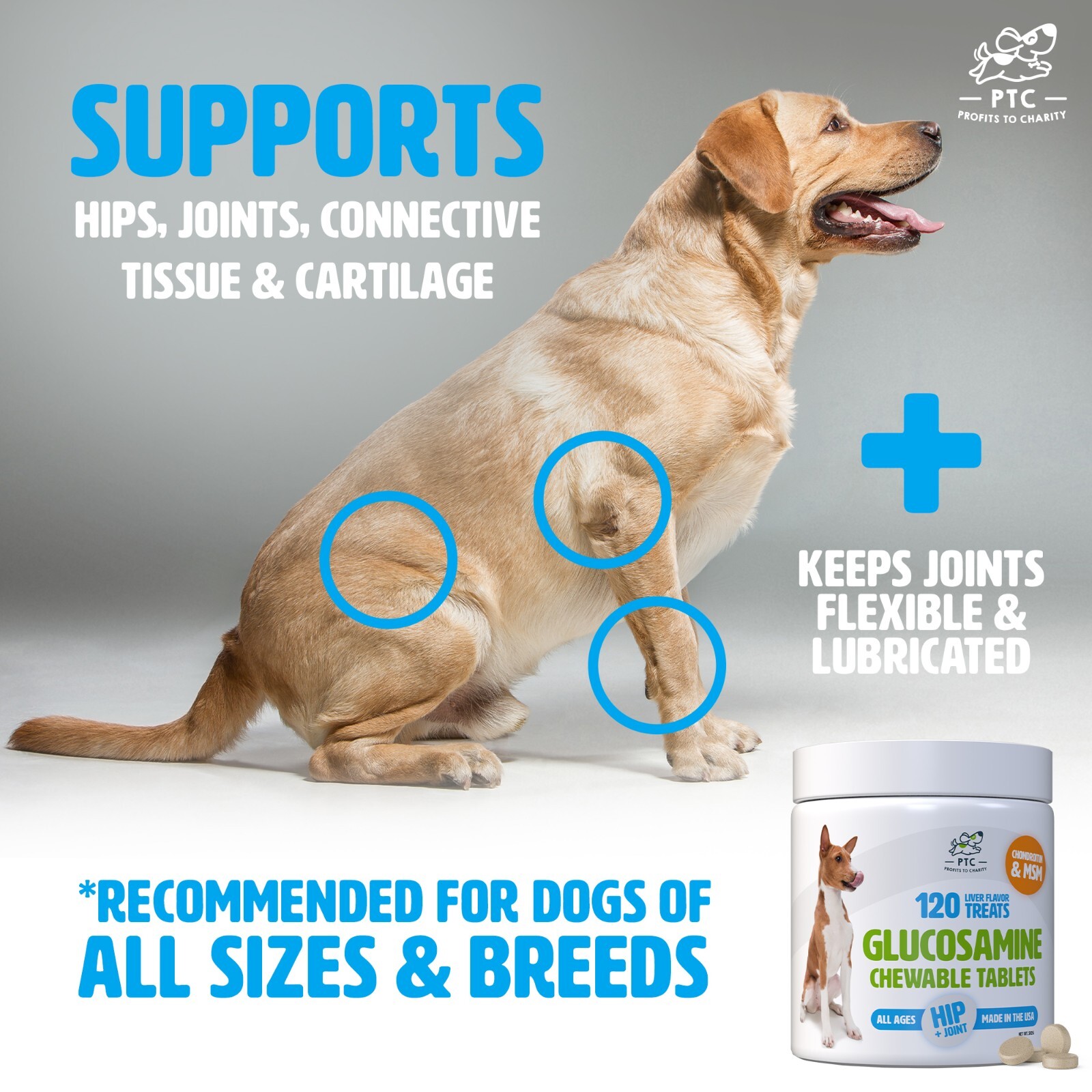 Glucosamine Chondroitin with MSM for Dogs , Hip and Joint Support