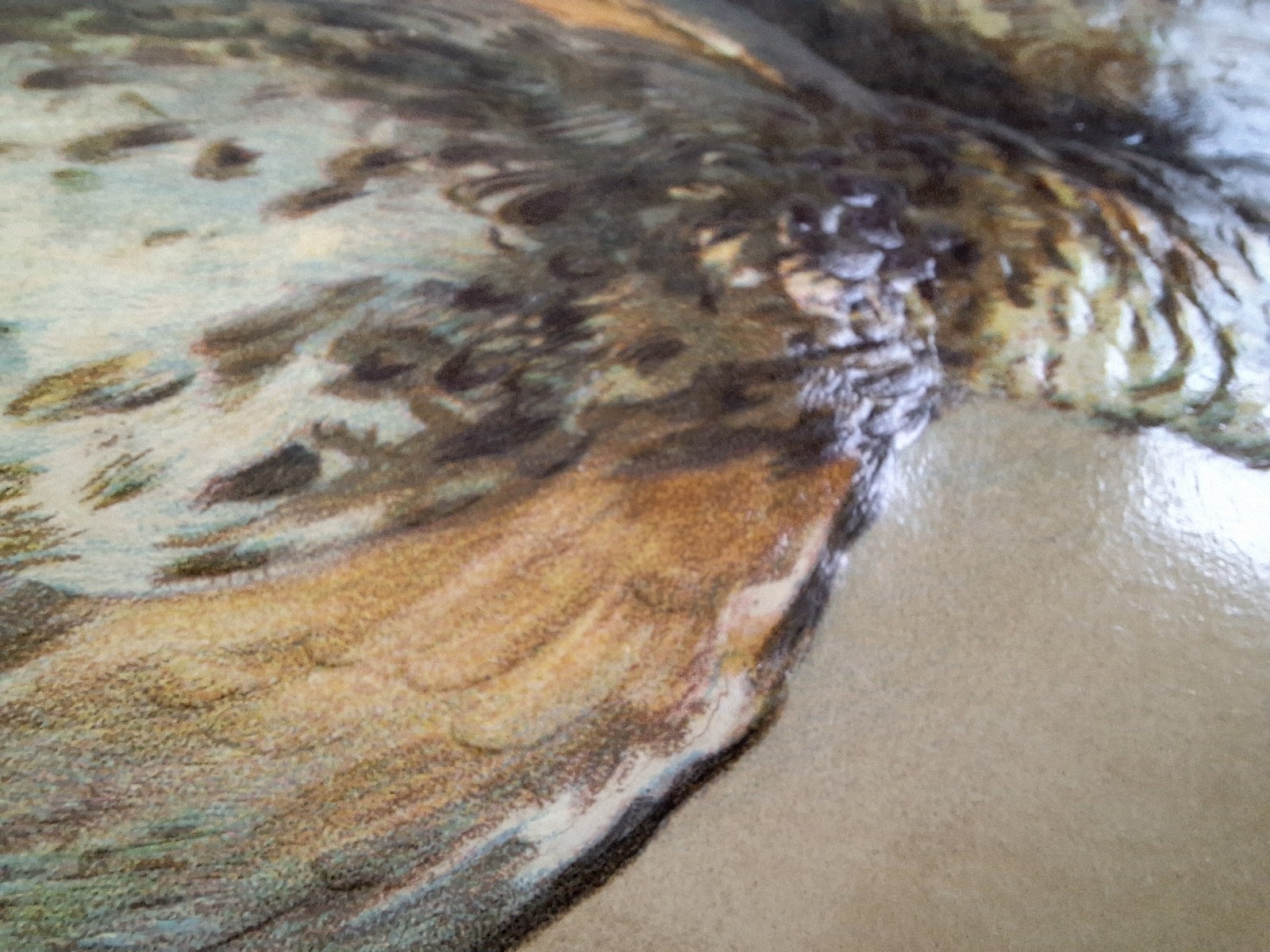 Game Birds Victorian Quail Cranberries Antique Embossed Chromolithograph