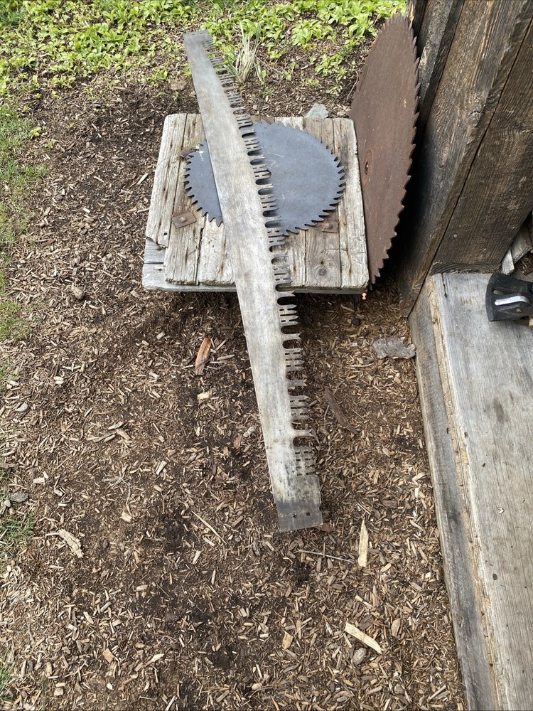 Clean 2 Man 64”Perforated Lance Tooth Crosscut Saw Logging Tool