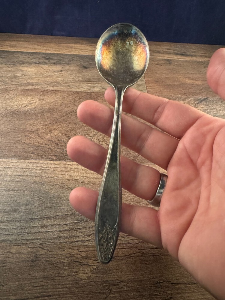 Wm Rogers & Son Soup Spoon Silverplated Lady Doris/Princess Pattern