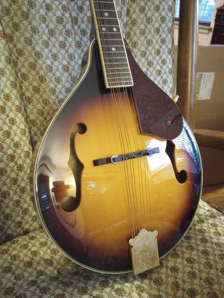 Fender FM-53S SB Mandolin - Solid Spruce Top - Sunburst - TKL Case Included