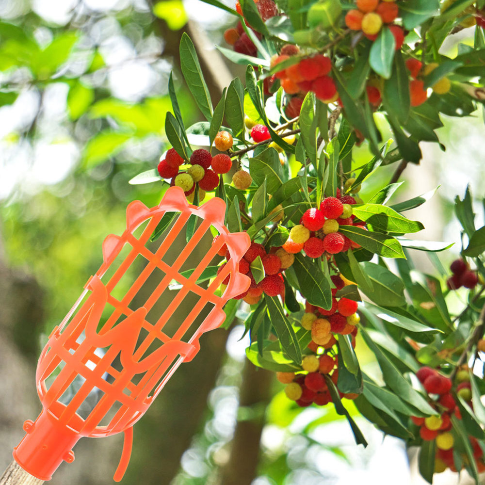2 Pcs Apple Picker Basket Pole with Fruit Picking Portable Orange