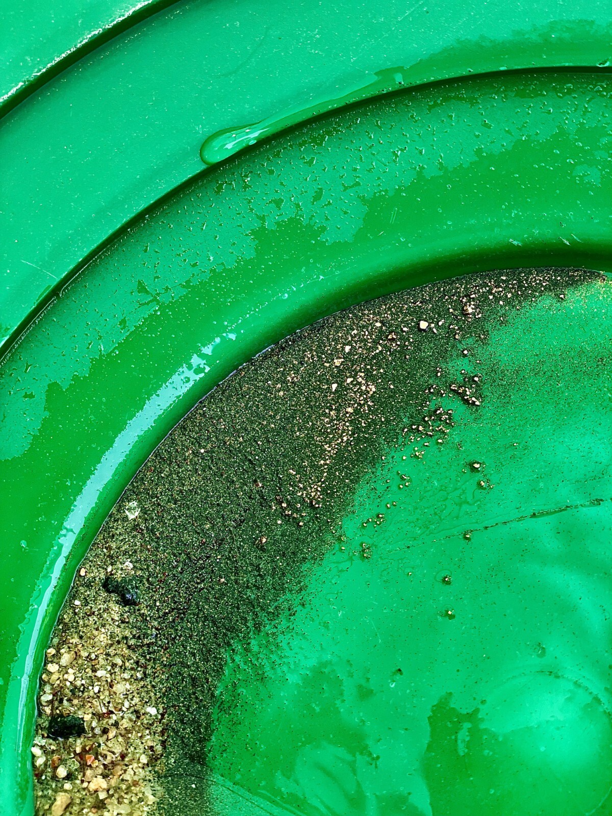 Yuba River Gold Unsearched Paydirt Plus Added Gold Straight from the River rich