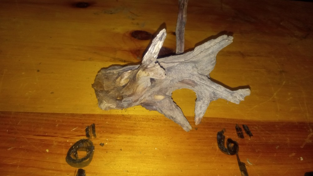 Beautiful Small Driftwood Tree