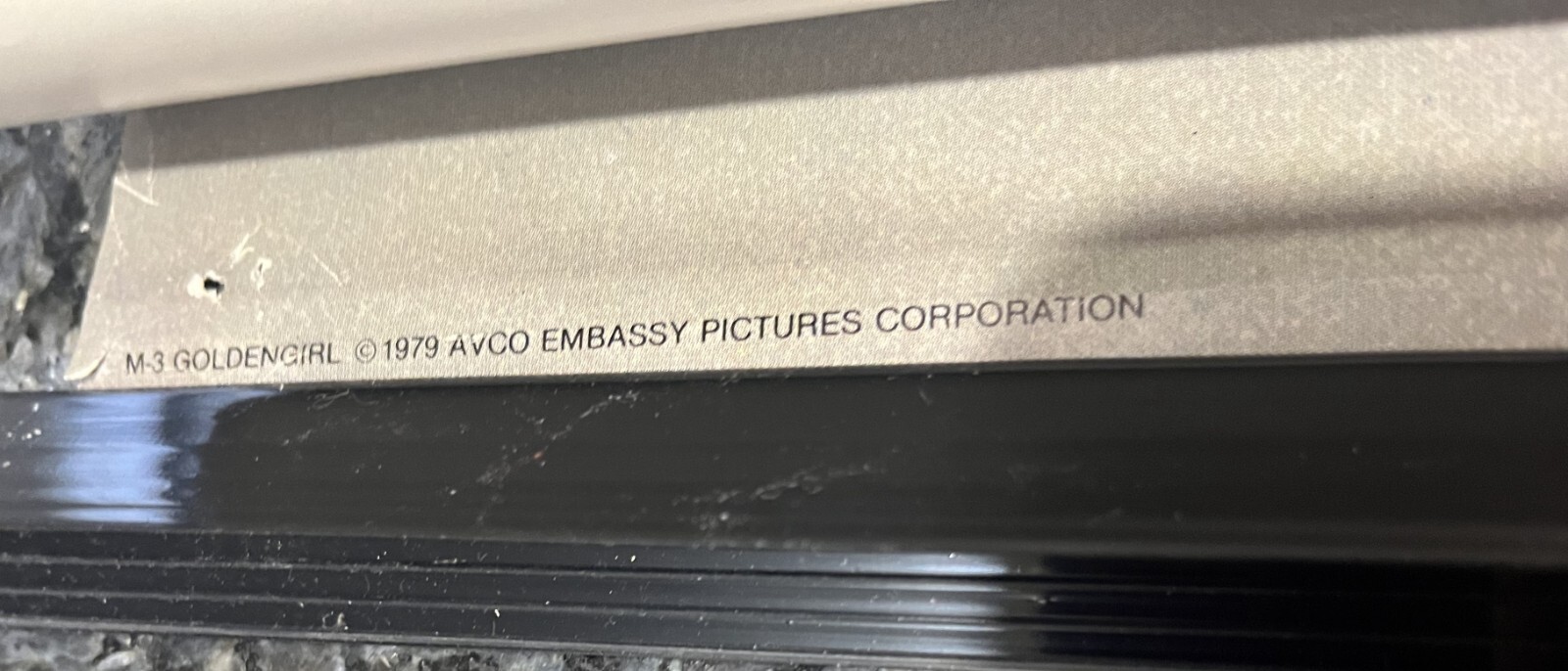 SUSAN ANTON "Golden Girl" 1979 Movie Vintage Wall Poster AVCO Embassy 24" X 36"