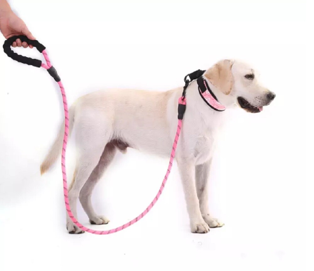 5 FT Dog Rope Leash - Reflective Nylon Lead, Training Padded Handle for Puppies