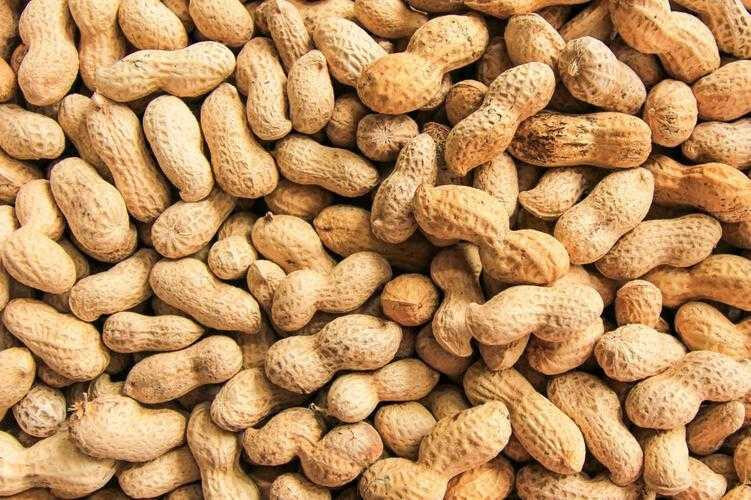 Roasted and Salted In Shell Peanuts 2 lbs