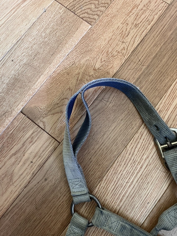 Weaver Blue Pony Halter
