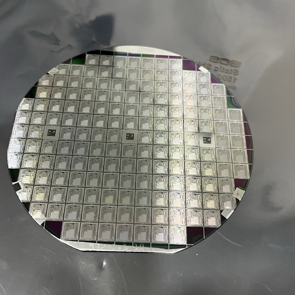 4 Inch Silicon Wafer With Die Containing Distinguishable Microstructures