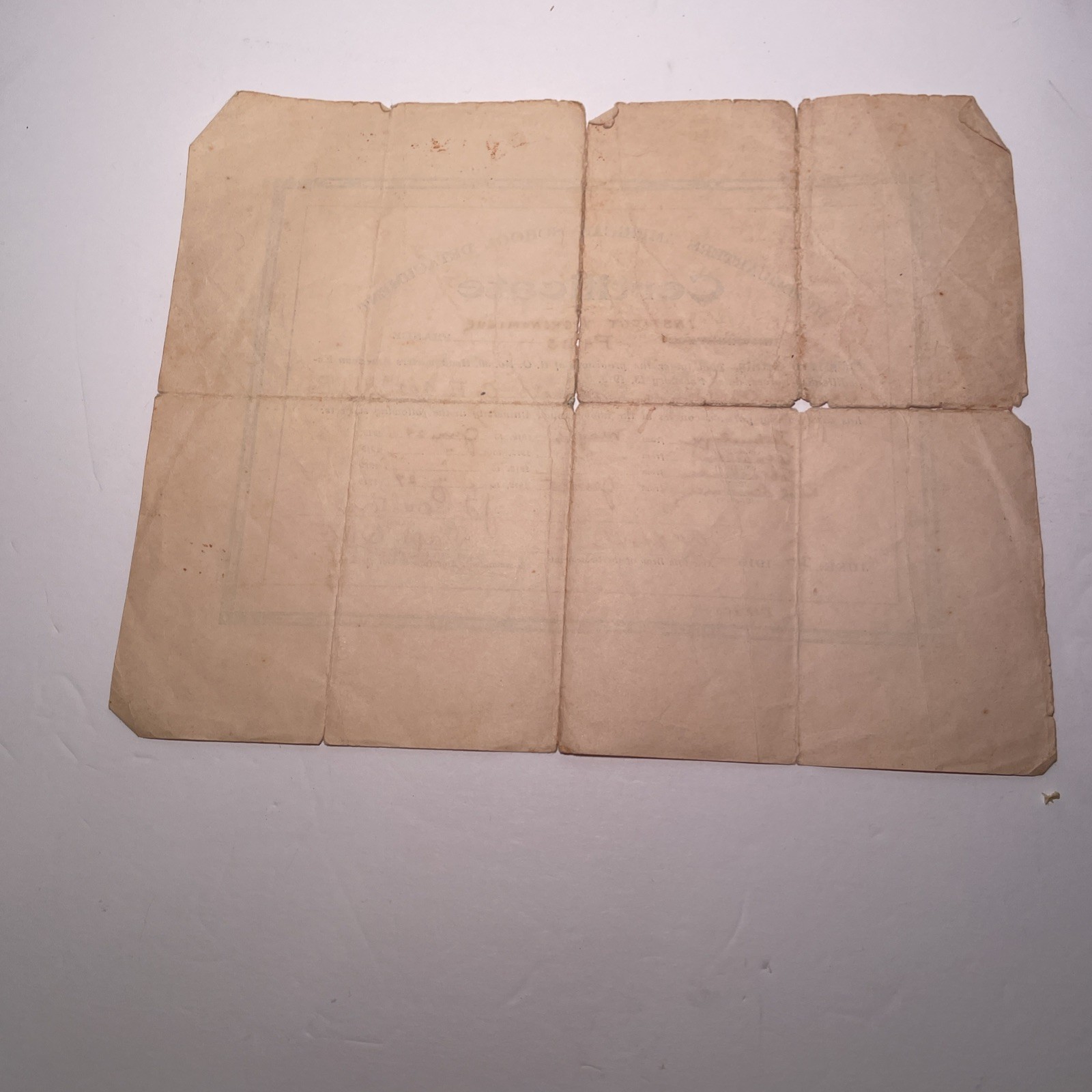 1919 ORIGINAL WW1 School of Detachment Paris France Certificate Army QMC June