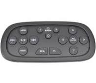 Genuine GM Video Remote Control 84012997