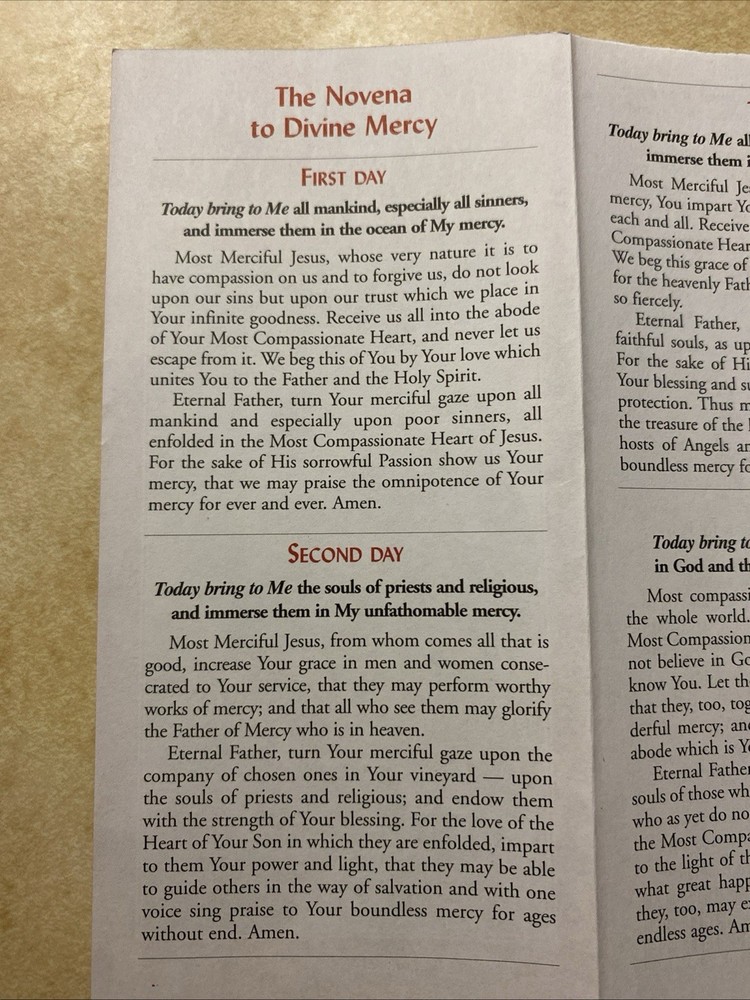 Divine Mercy Novena And Chaplet Rosary Companion Prayer Booklet Pamphlet