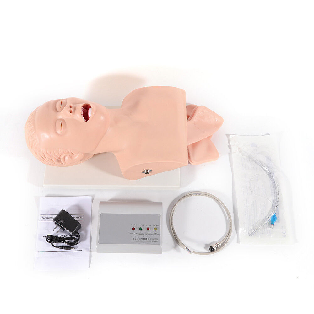 Airway Management Trainer Study Adult Oral Intubation Manikin Teaching Model NEW