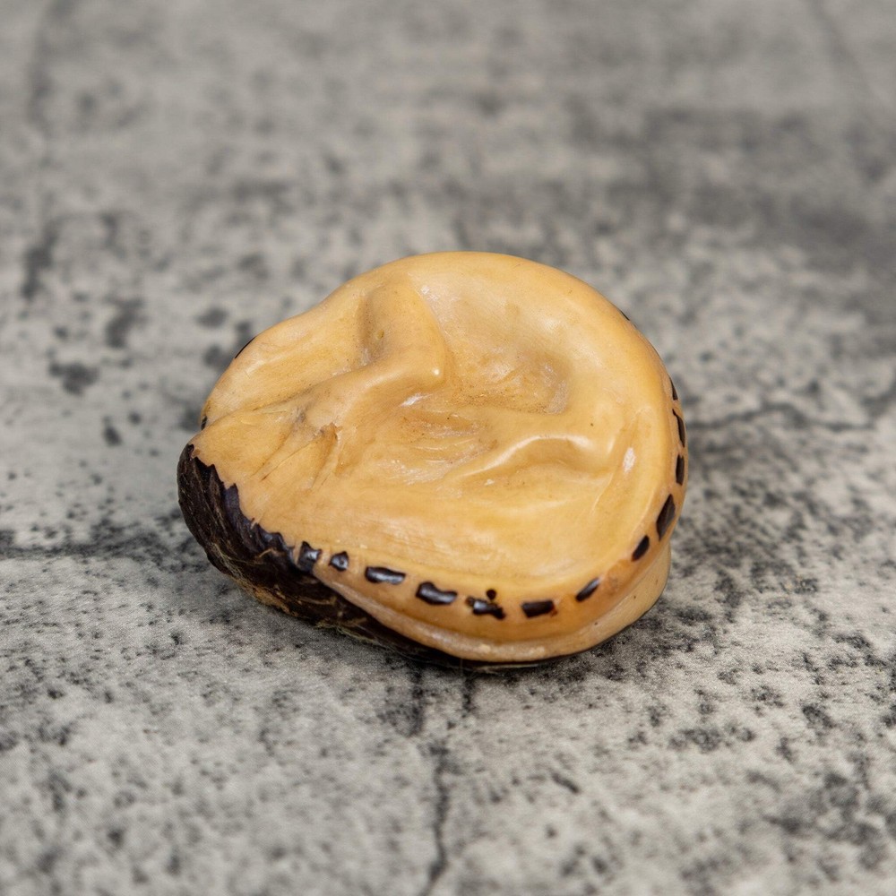 Vintage Gecko Lizard Tagua Carving