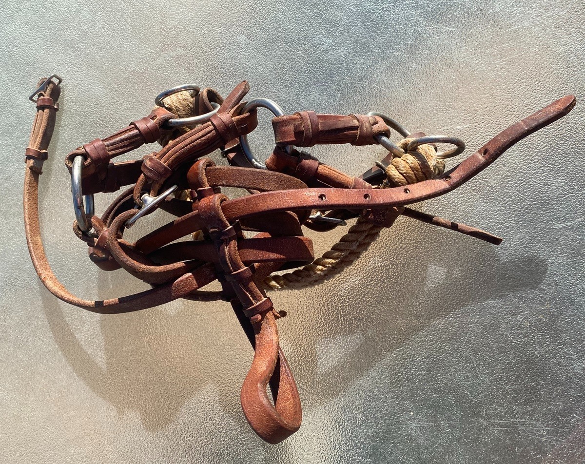 Murphy Leather Western Side Pull Bridle Bitless Training Headstall