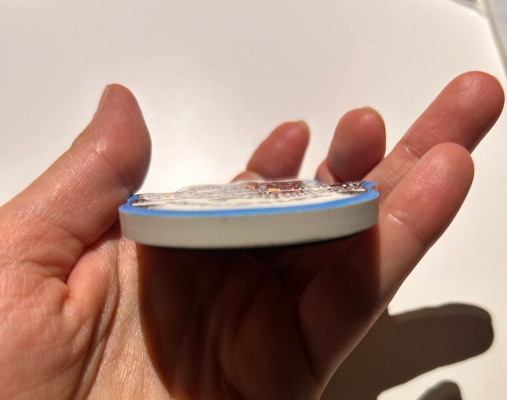 souvenir fridge magnet