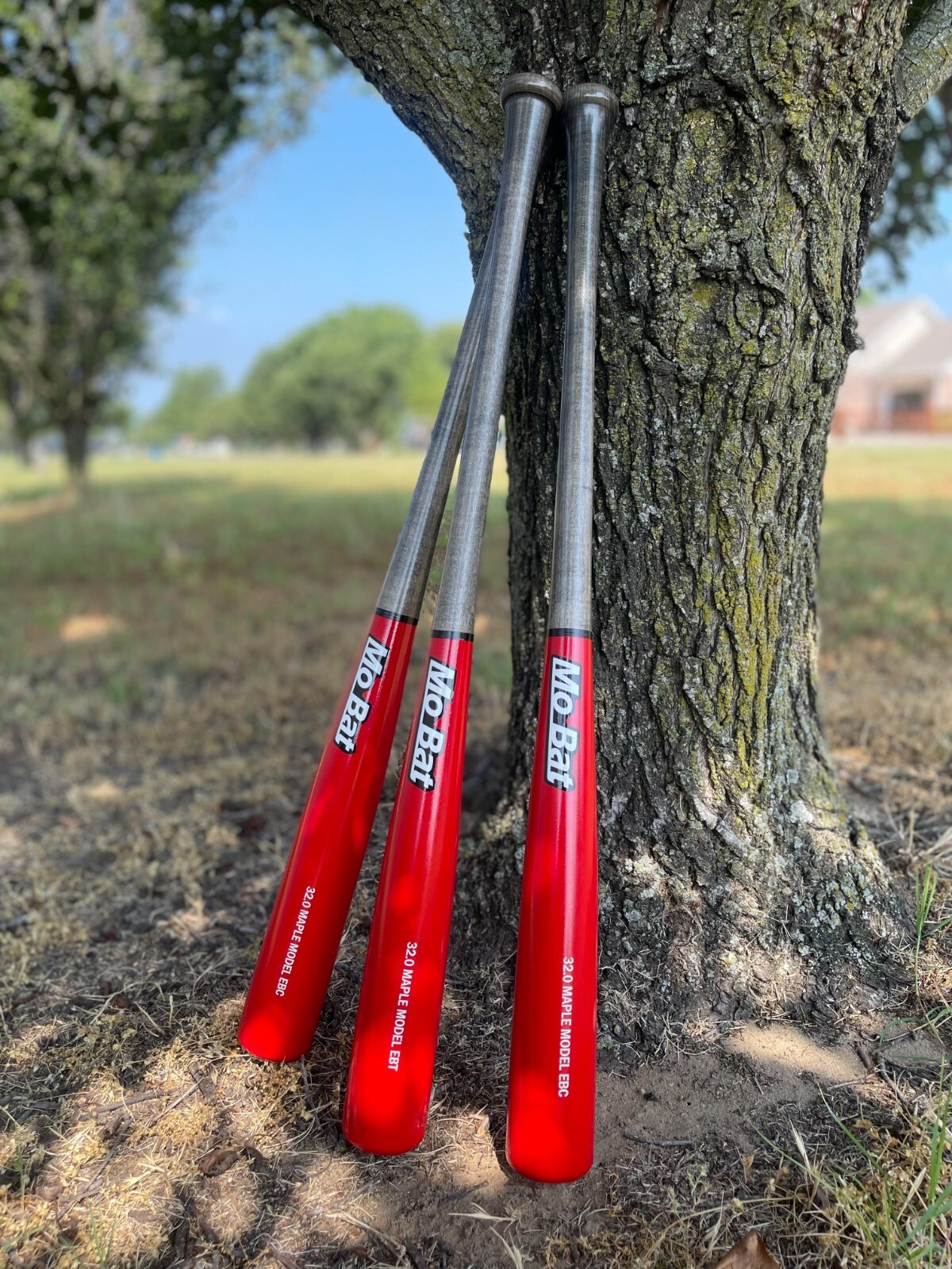 *Old Hickory Bat Co. Made* MoBat Co. Economy Label HARD MAPLE WOOD Baseball Bats