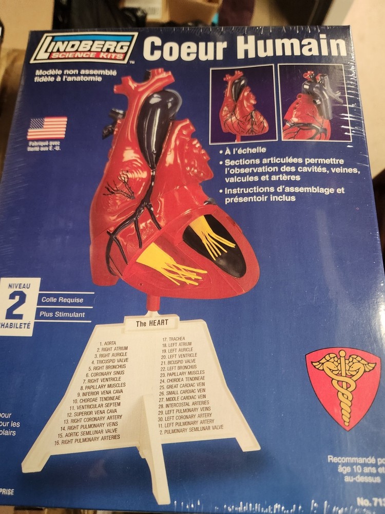 Heart Model