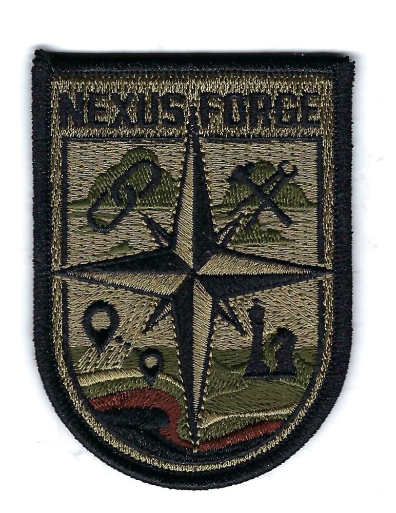 190th FIGHTER SQUADRON "NEXUS FORGE" EXERCISE  patch