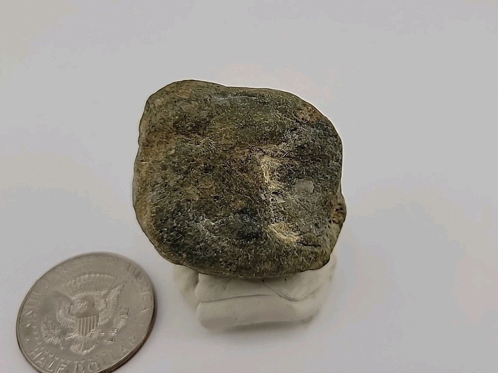 Real Permineralized Dinosaur Half Egg Embro Uv Reactive