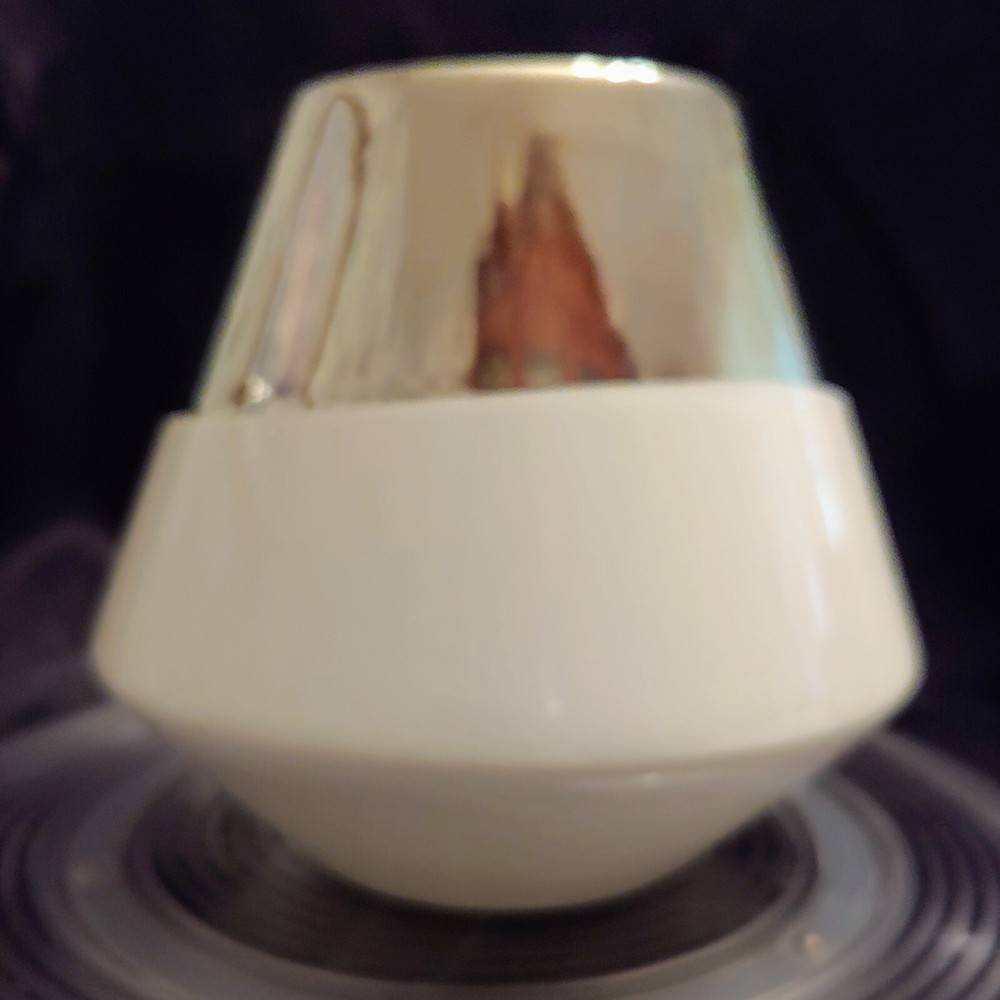 White Silver Dipped Vase