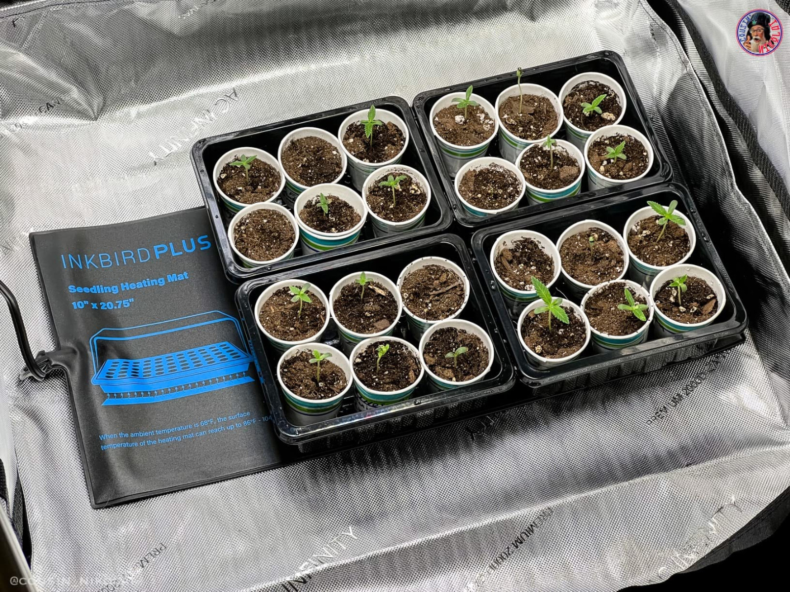 Seedling Heat Mat Seed Starter Pad Plant Germination Grow Hydroponic 10" x 20.75