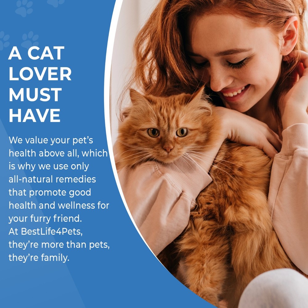 IMMUNITY BOOST FOR CATS Immune System Support Natural Supplement
