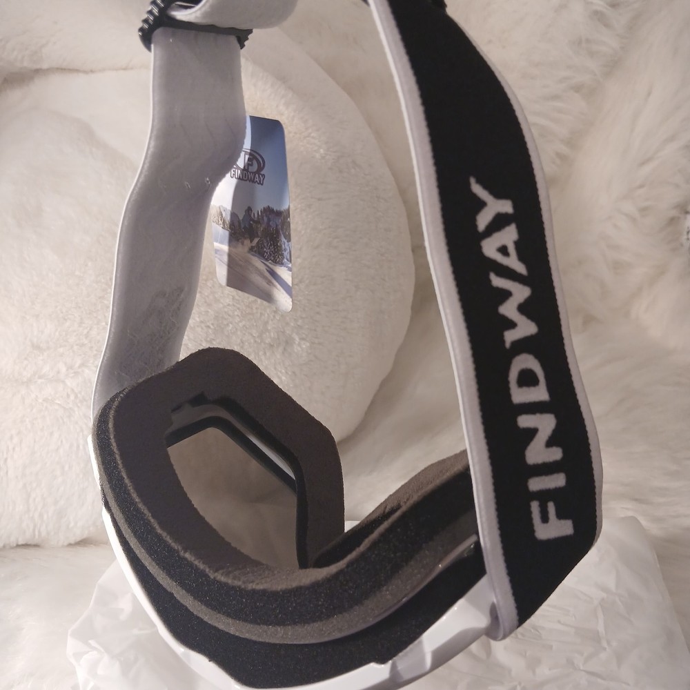 Ski Goggles
