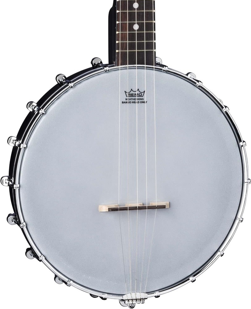 Deering Artisan Goodtime Two 5-String Resonator Banjo