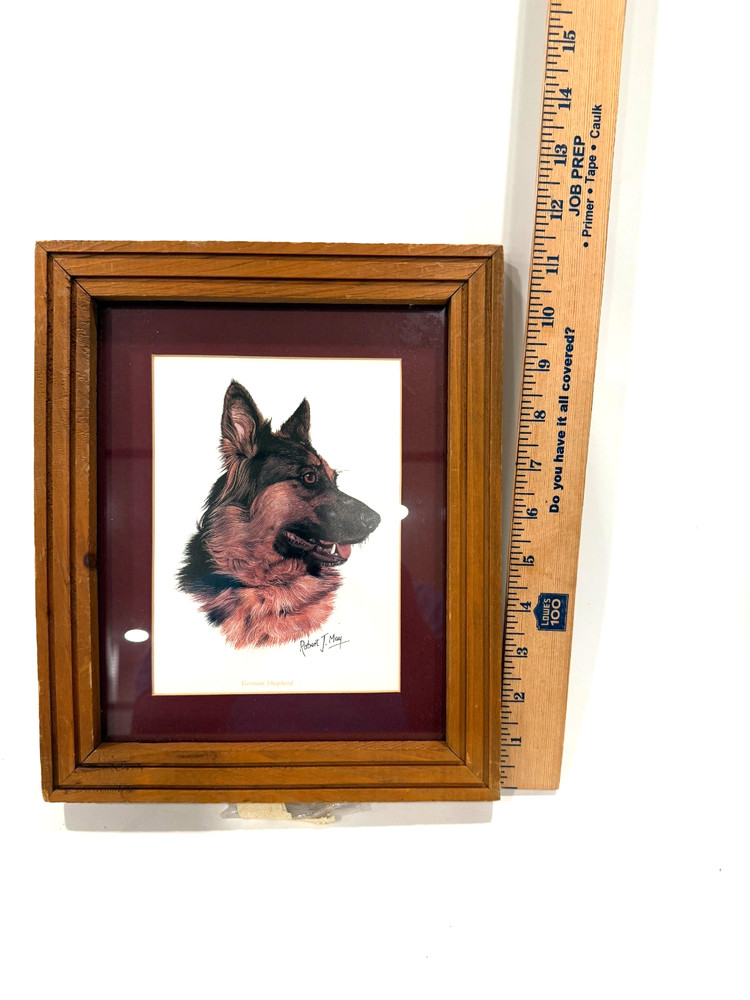 German Shepherd Print by Robert J. May