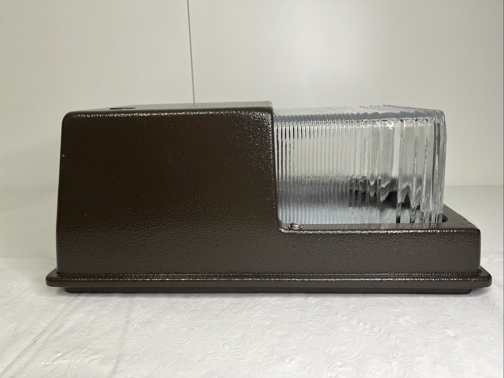 Day-Brite Lighting - Heavy Duty Metal Mini Rectangular WPG Glass Wall Pack