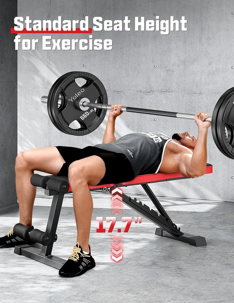 Adjustable Weigh Bench Workout Bench Home Gym Adjustable & Foldable Workout