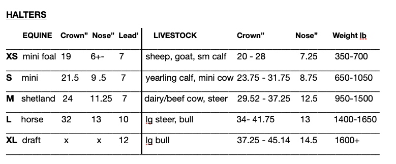 Halter All MEDIUM Dairy Beef Cow, Ave Steer Breaking Show Adjustable PATTERN USA