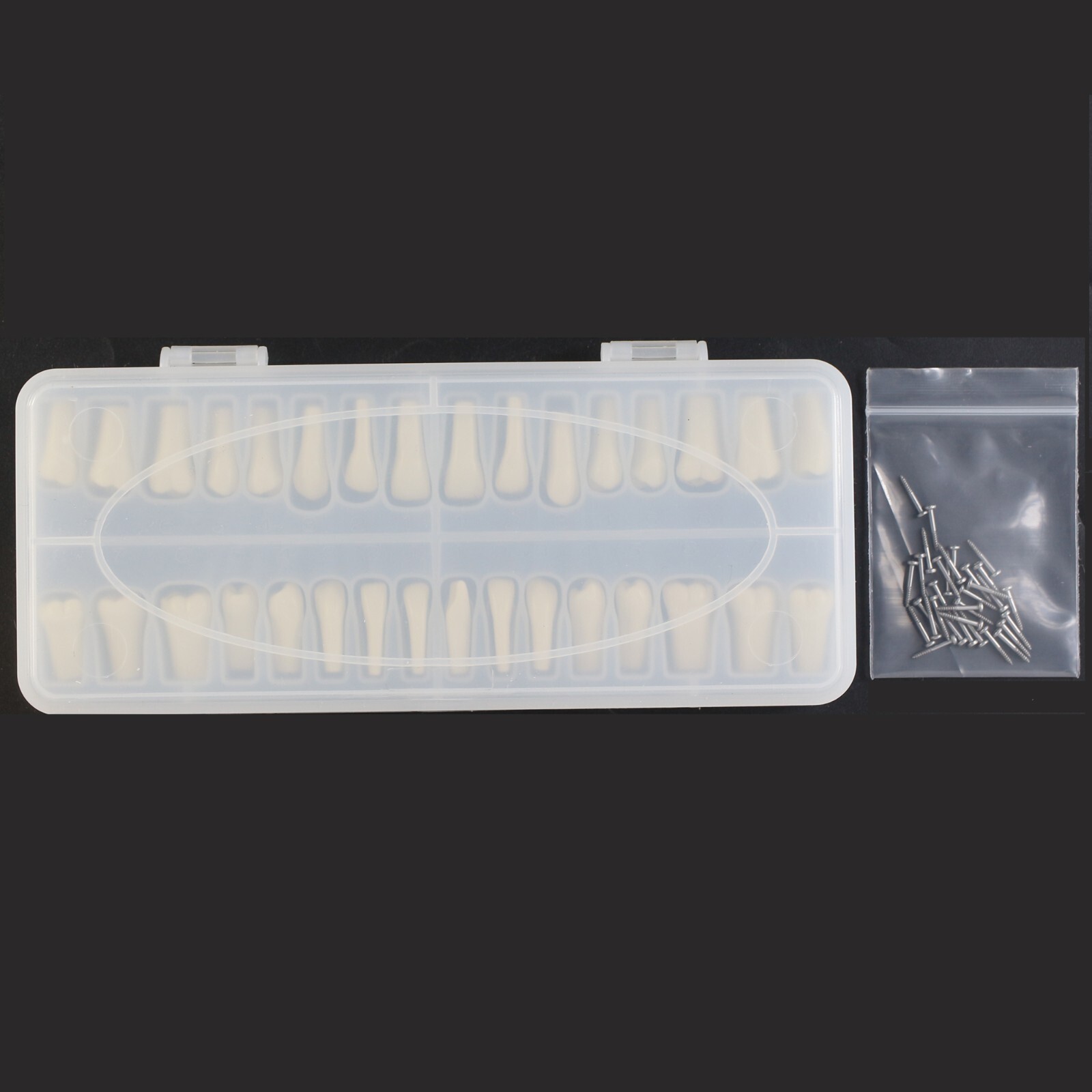 Columbia Dentoform 860 Dental Typodont Model 32pcs Removable Teeth Mounting Pole