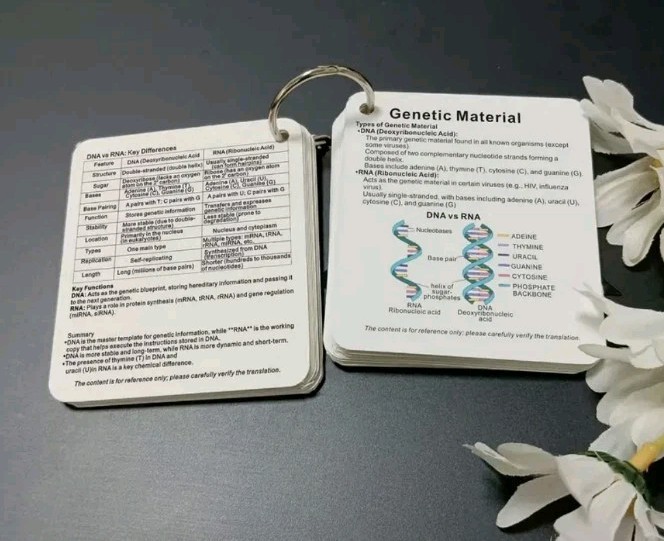 Cell Biology Pocket Sized Flashcards Study Guide Cellular Components Key Terms