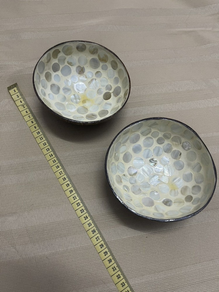 Hand Painted Coconut Shell Bowl 5.25" Diameter