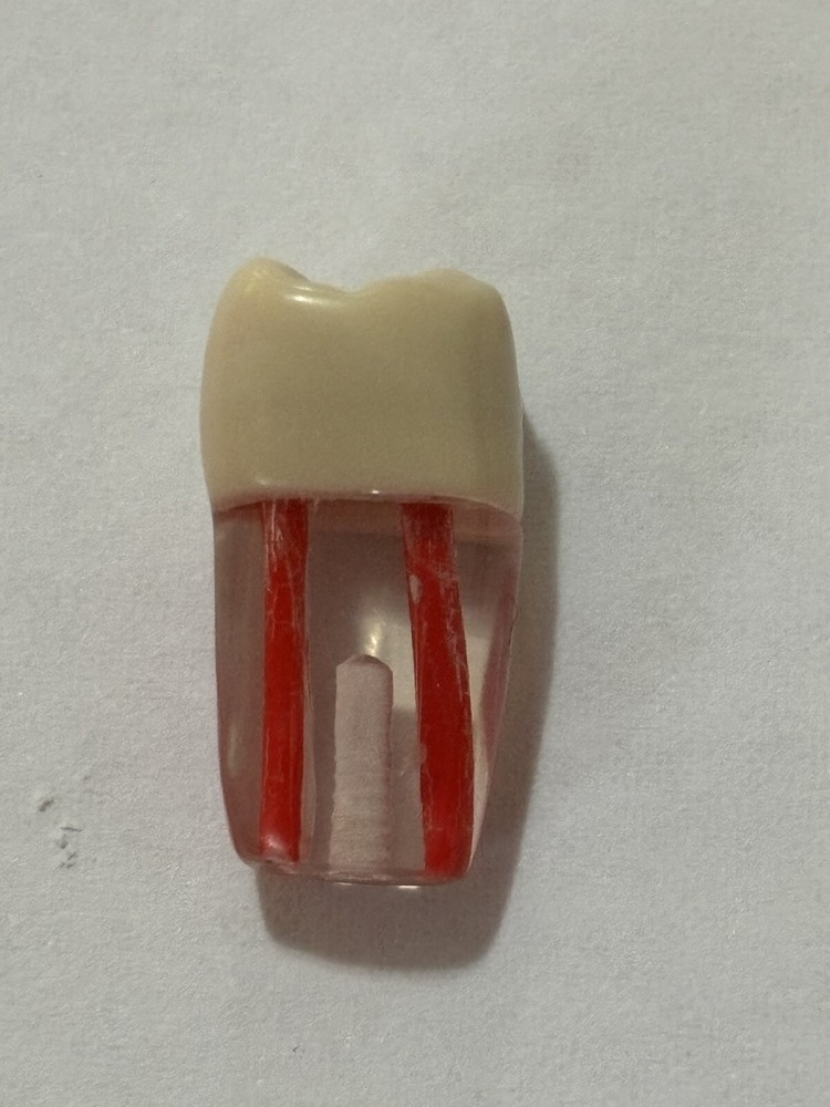 Endo Tooth #46 For ADC MODEL (3 Pack)