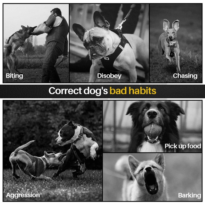 1-3 Dogs Training Collar 3000FT Remote Rechargeable Shock Dog Waterproof Trainer
