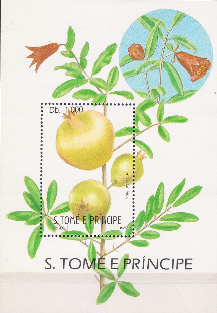 W SAINT-THOMAS 0867 FRUITS