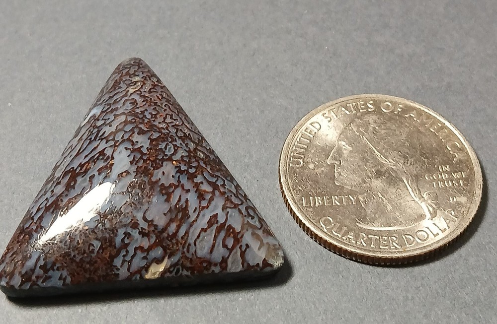 Dinosaur Bone Cabochon - Gorgeous BLUE Cells