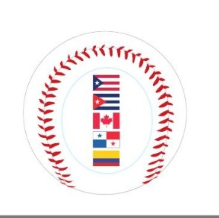 2026 World Baseball Classic Commemorative Baseball 20 Country Flags